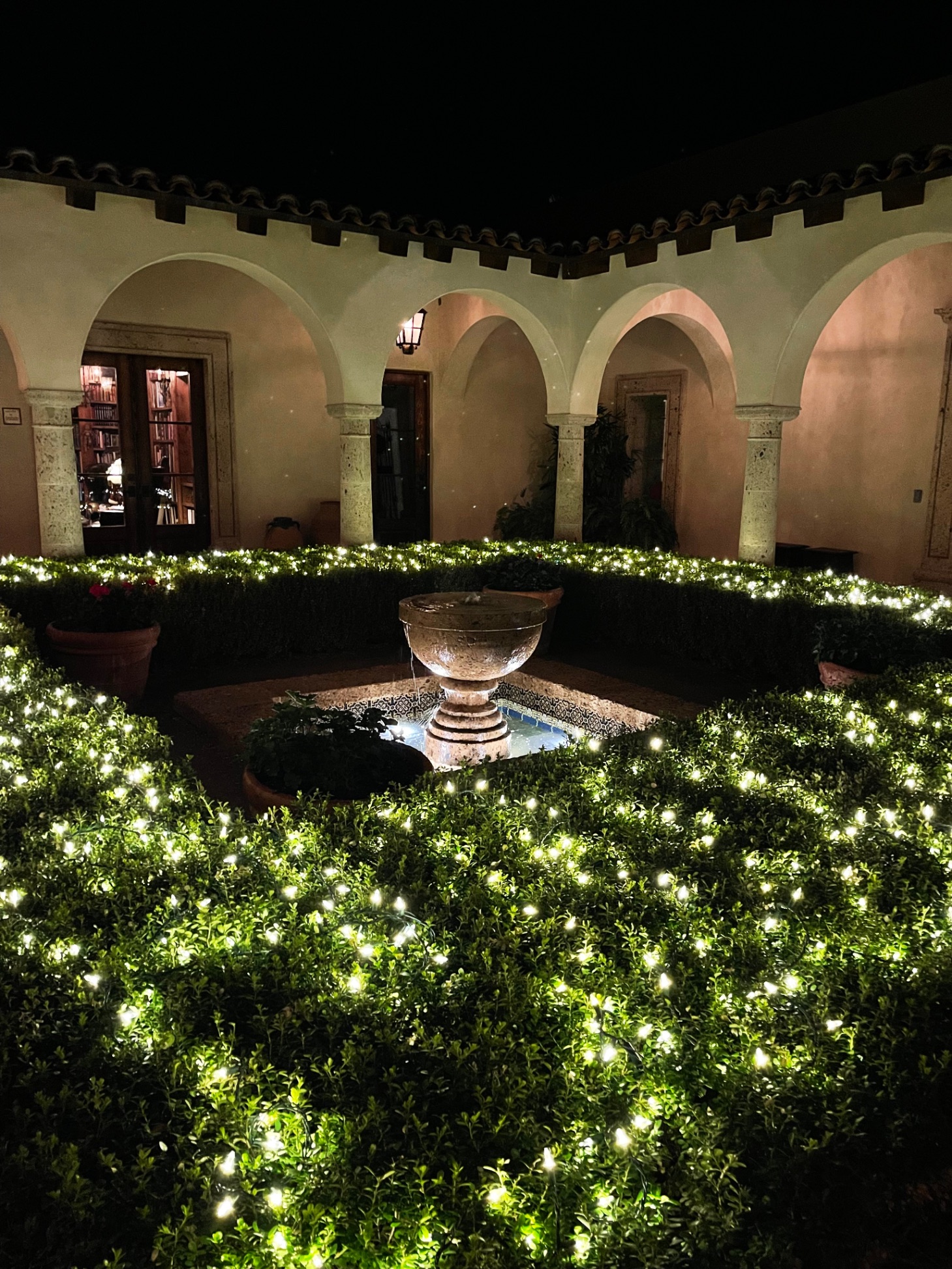 Courtyard Fountain & Lighting