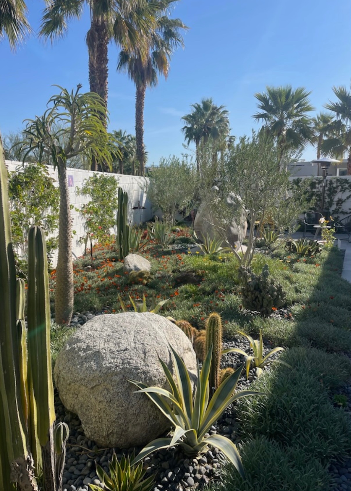 Cactus & Boulder Landscape