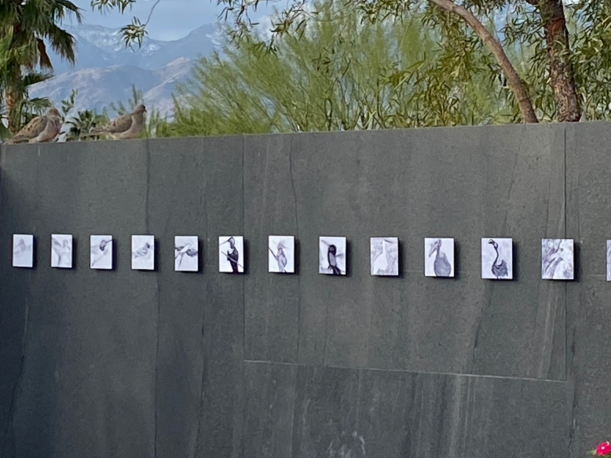 Bird Art Wall & Stone Garden
