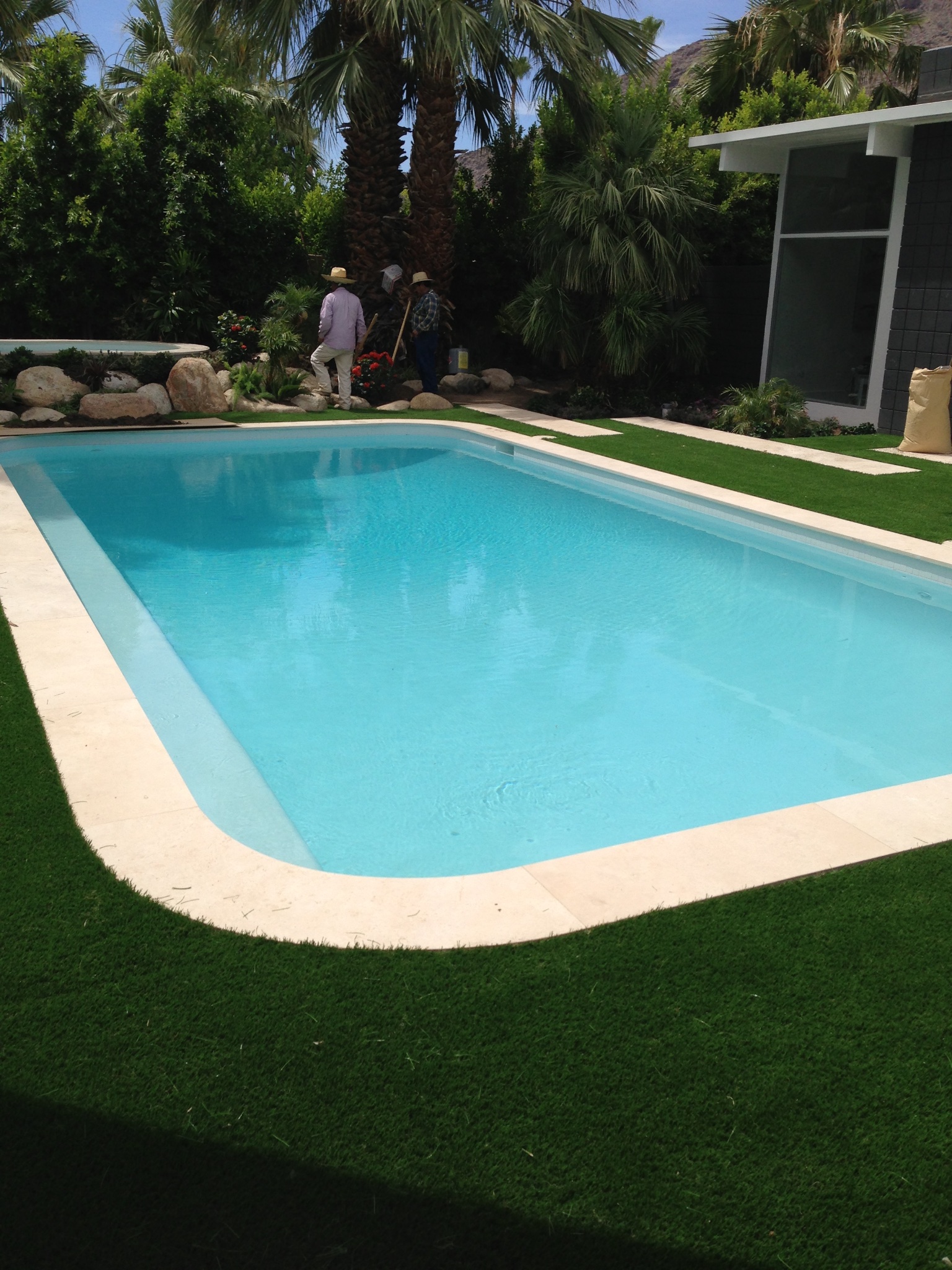 Classic Lap Pool & Lawn